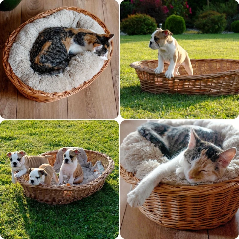 Cuccia per cani e gatti KADAX in vimini naturale, grande, ecologica, 85 cm di lunghezza
