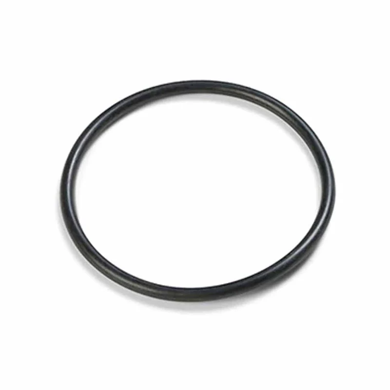 Guarnizione per valvola plunger Intex 10262