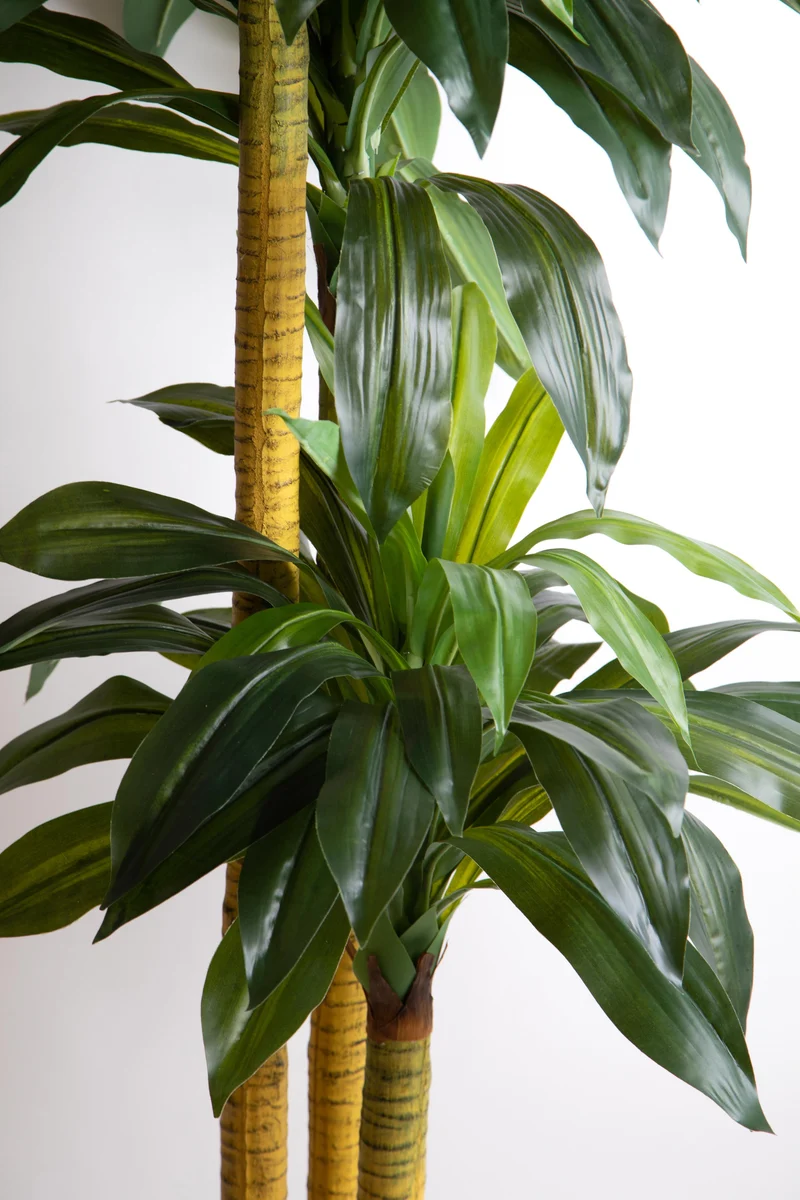 Pianta Artificiale Tronco Della Felicità con Vaso H 150 cm