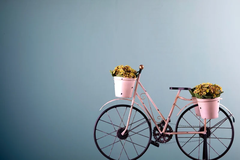 Modellino Bicicletta con Cestini Larghezza 80 cm
