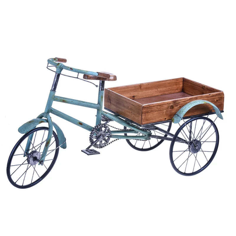 Modellino Bicicletta con Contenitore 113 cm