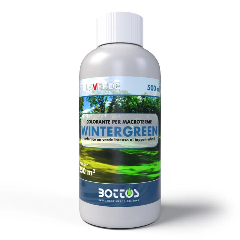 Wintergreen Bottos