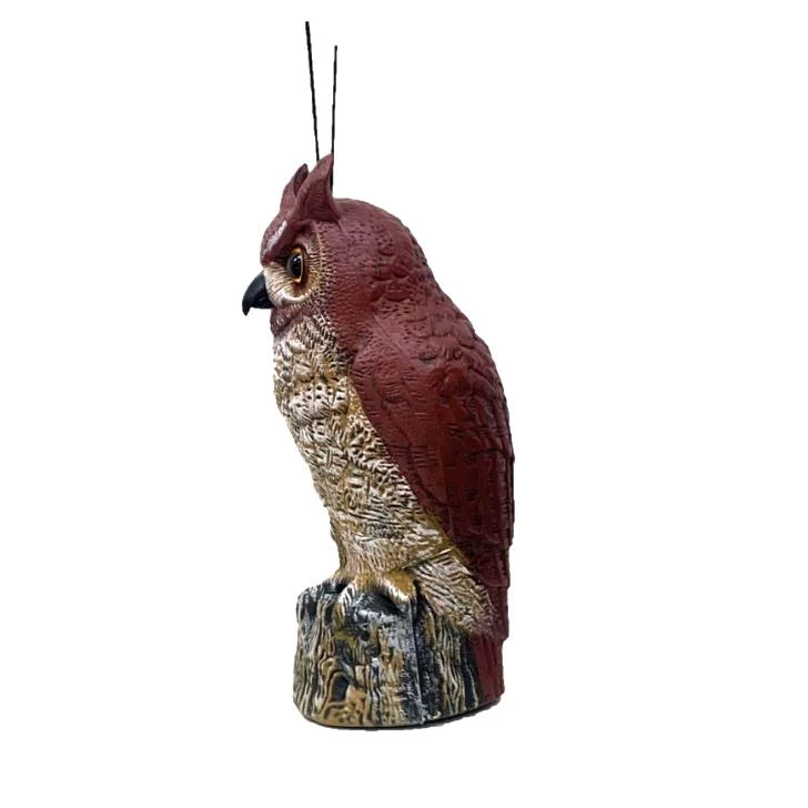 Scare Bird Owl Scarecrow