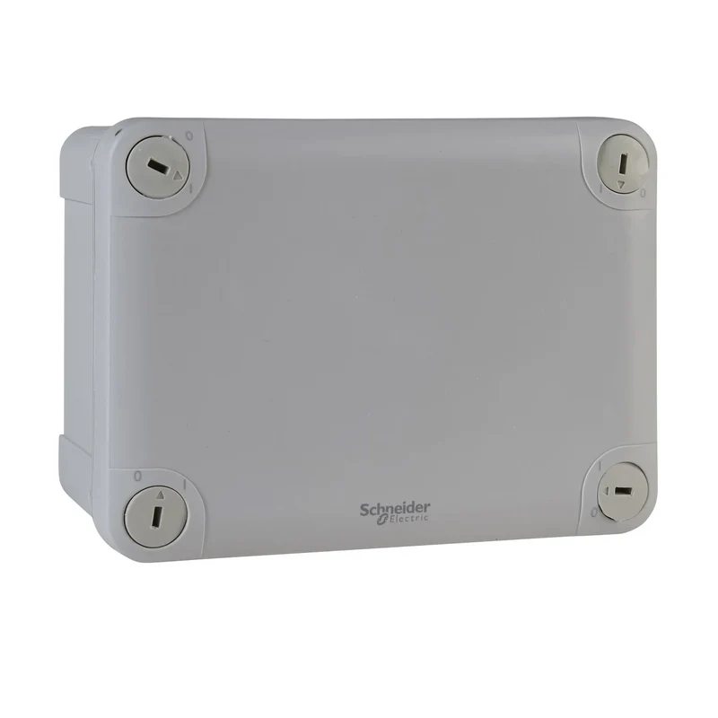 Scatola di Derivazione Schneider Mureva IP55 Lati Lisci