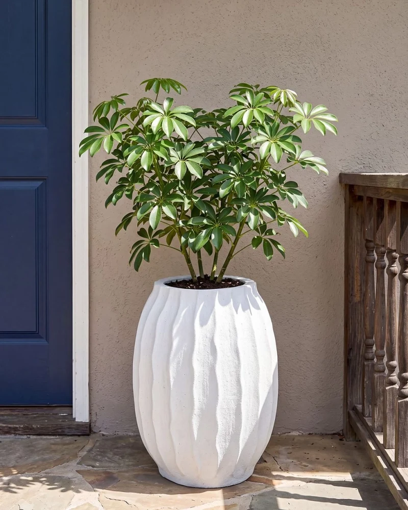 Portavaso Bianco in Cemento e Fibra di Vetro 35 x 49 cm per Interni ed Esterni