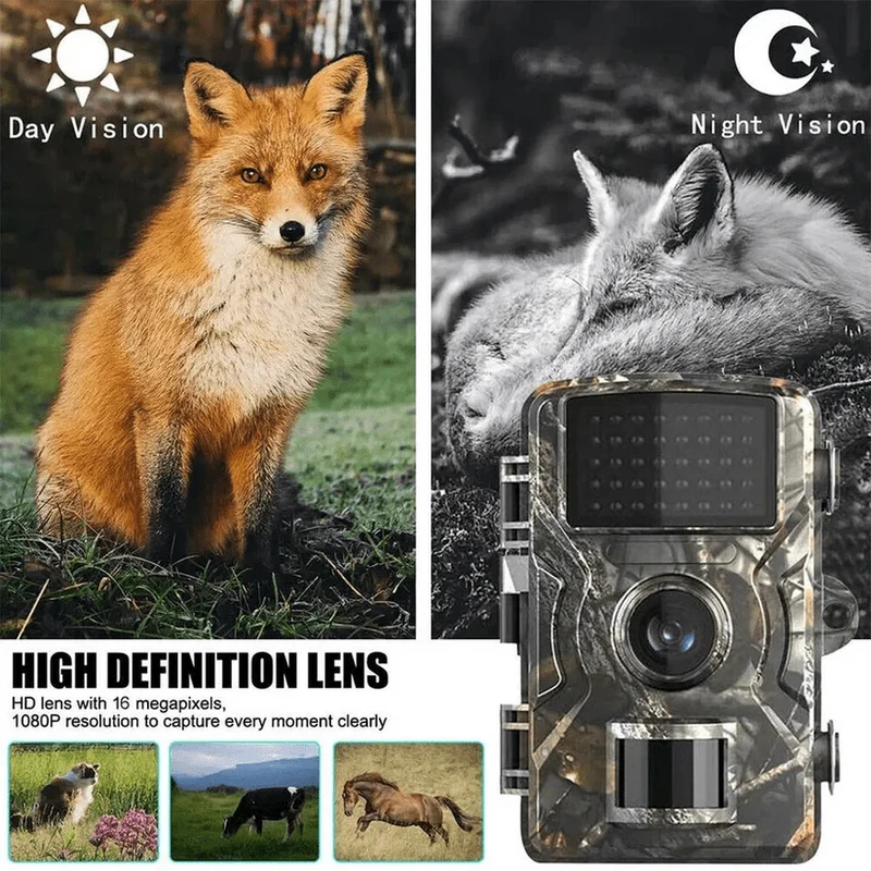 Wildcamera – 12 MP & 1080p HD met Nachtzicht