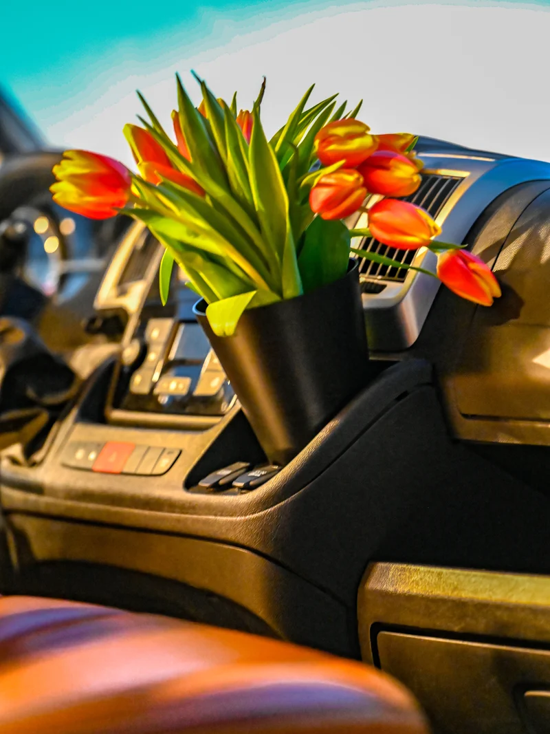 Der Blumentopfhalter und Blumentopf-Set magnetisch – Offrotie 3D-gedruckt – tragbar für Vanlife