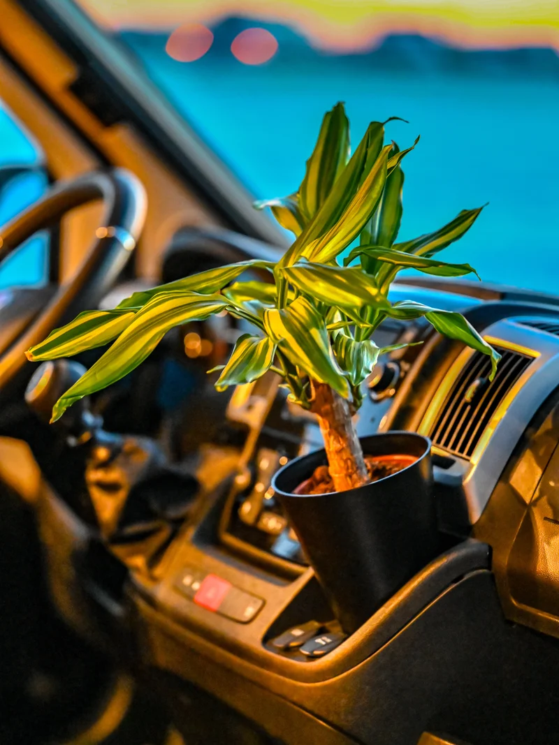 Der Blumentopfhalter und Blumentopf-Set magnetisch – Offrotie 3D-gedruckt – tragbar für Vanlife