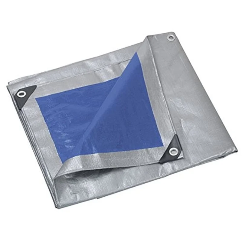 Telo Protezione 250 Gr 6X10 Mt