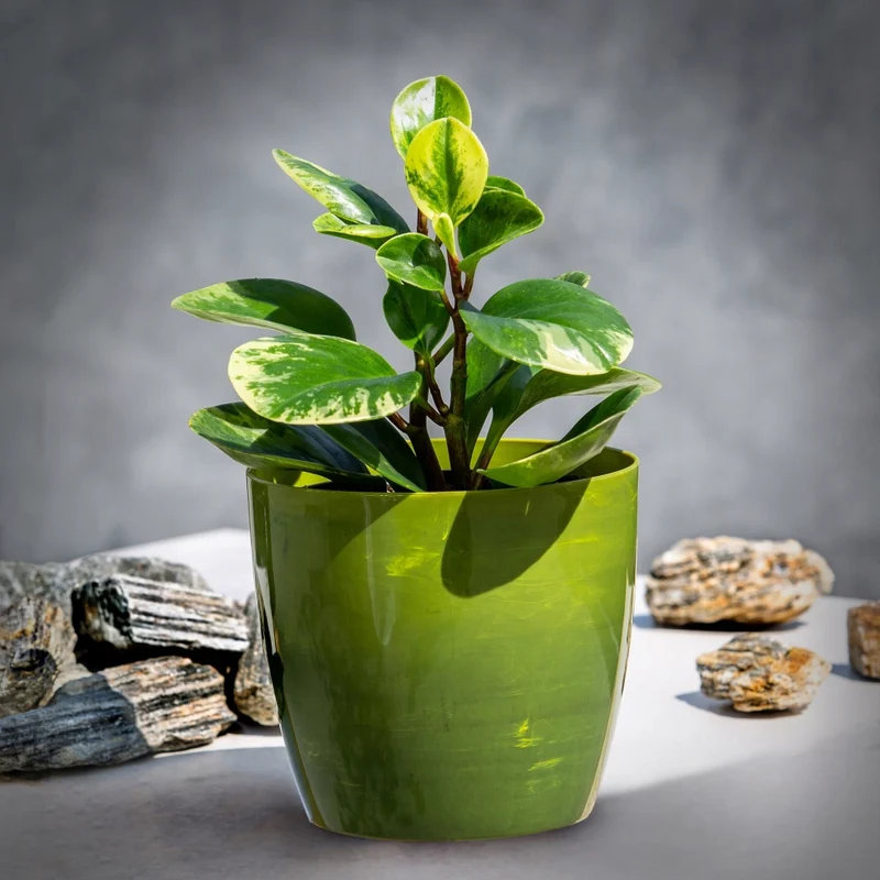 KADAX Vaso da fiori in plastica, coperchio per vaso da fiori da 18 cm, supporto per fiori in marmo verde