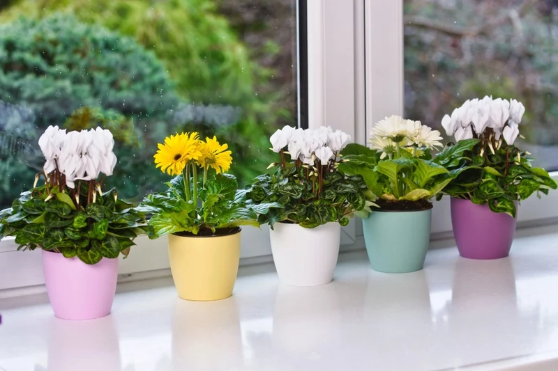Vaso da fiori KADAX con sottovaso, vaso in plastica da 14 cm, coperchio, fiori, giallo opaco.