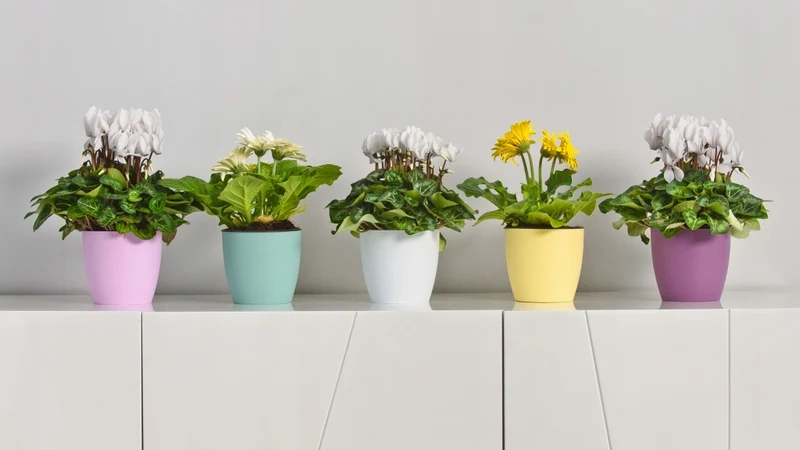 Vaso da fiori KADAX con sottovaso, vaso in plastica da 30 cm, coperchio, fiori, giallo opaco