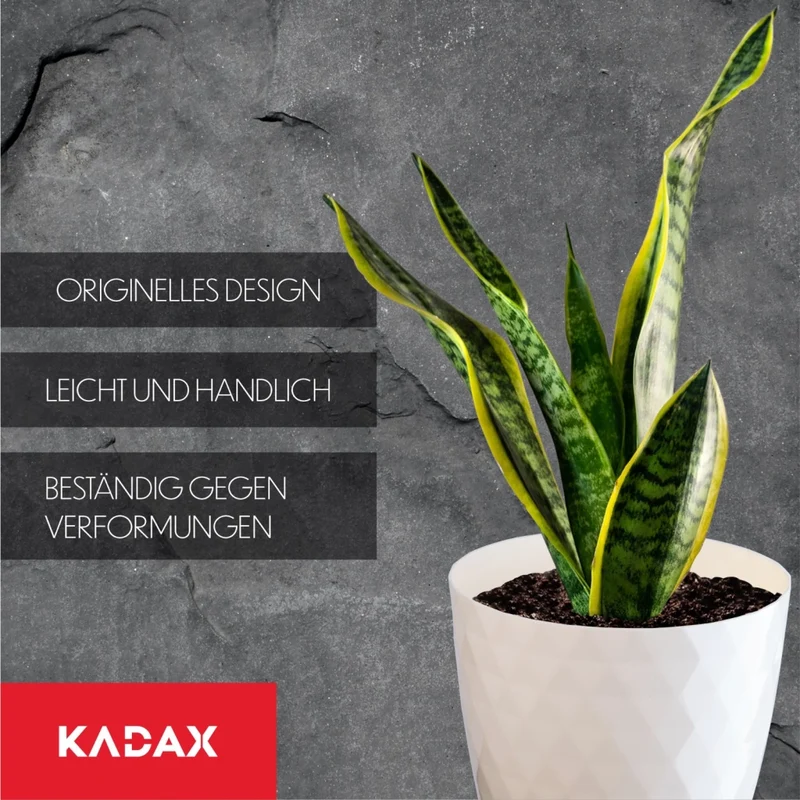 Vaso da fiori in plastica KADAX con supporto, coprivaso, 18 cm, crema, Kadax