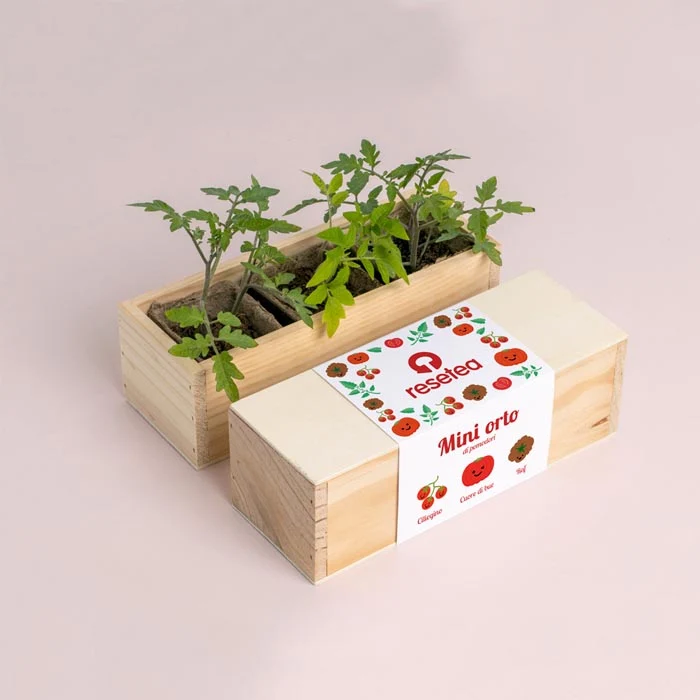 MINI ORTO - POMODORI