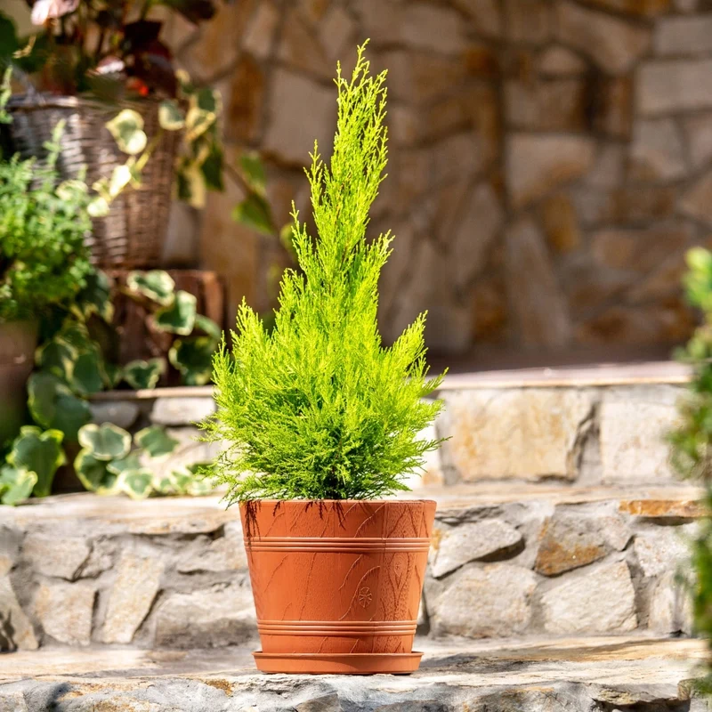 Vaso da fiori KADAX da 17 cm con coperchio effetto legno e supporto in plastica.