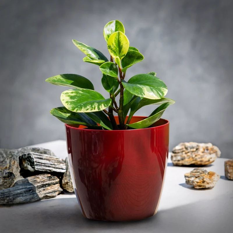 Coprivaso KADAX da 14 cm, vaso per fiori in marmo rosso, supporto per fiori da soggiorno