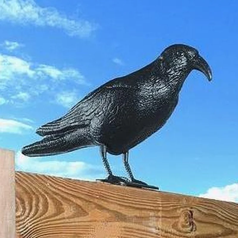 Corvo Dissuasore Statua Spauracchio spaventa passeri piccioni colombi 24,5 cm