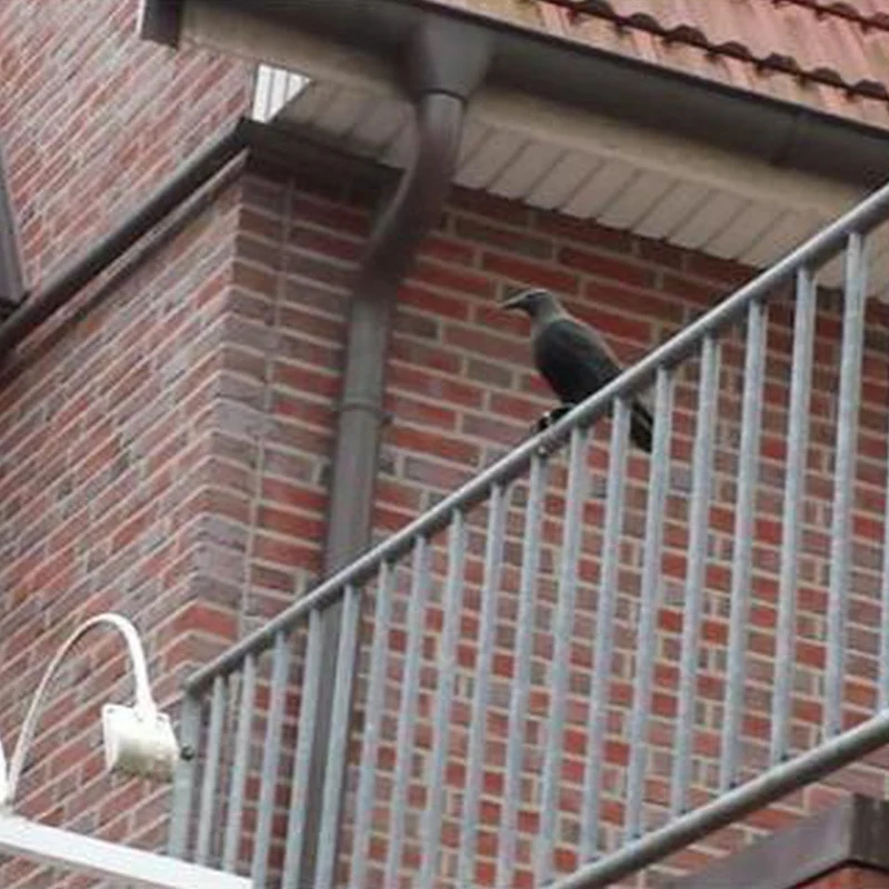 Corvo Dissuasore Statua Spauracchio spaventa passeri piccioni colombi 24,5 cm