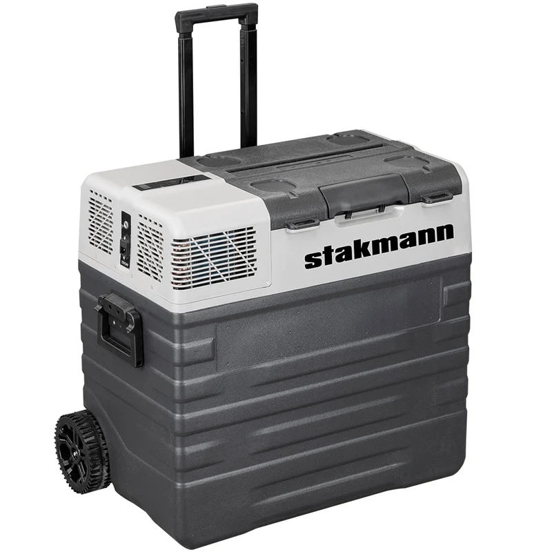 Frigorifero per Auto Barca Camper 12V e 220V con Compressore AC/DC Portatile 62L