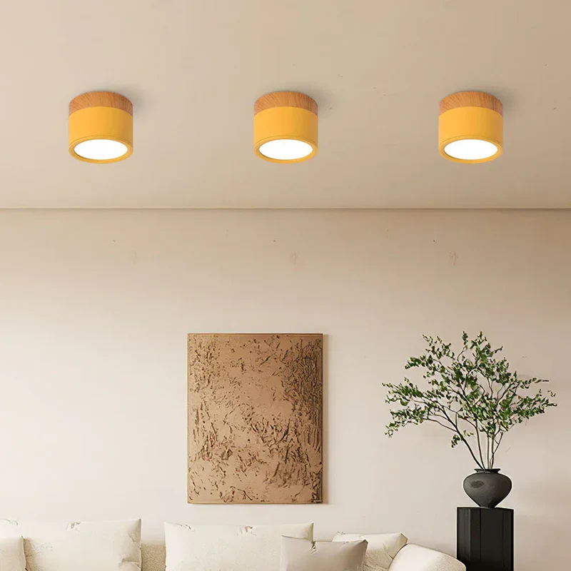 Slim compact Scandinavian surface-mounted ceiling lamp