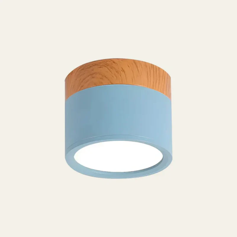 Slim compact Scandinavian surface-mounted ceiling lamp
