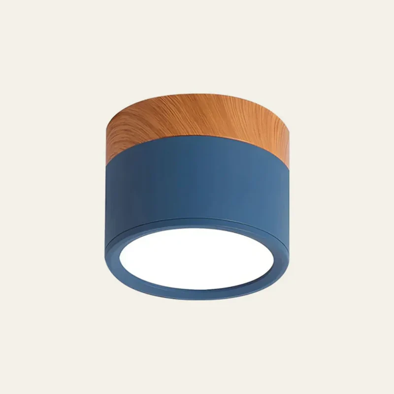 Slim compact Scandinavian surface-mounted ceiling lamp