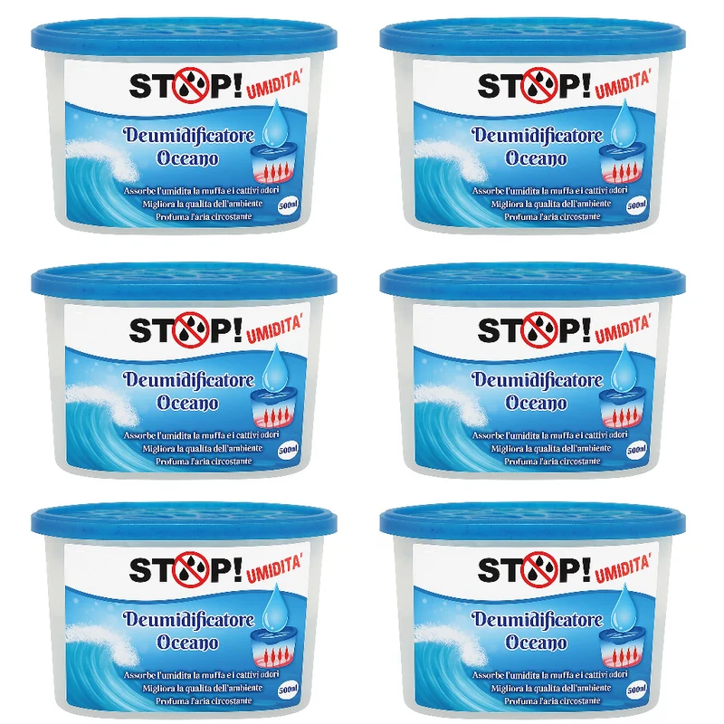 6 pezzi Deumidificatore Casa Portatile 500ml contro Muffa Assorbi Umidità Oceano