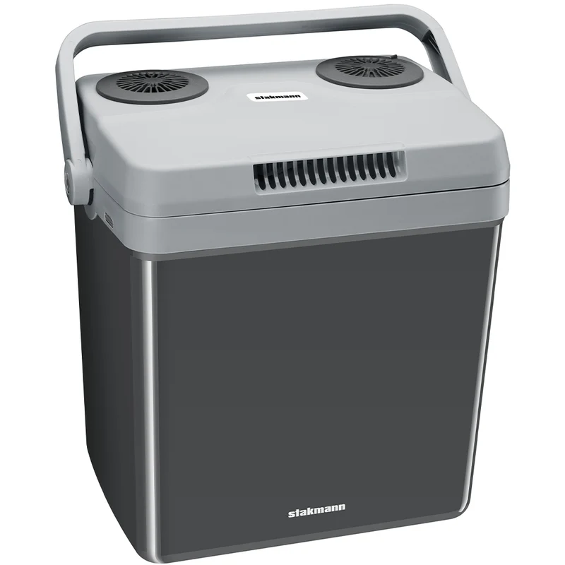 Frigorifero Elettrico Portatile 32 Litri Caldo e Freddo Grigio Spina 230V e 12V