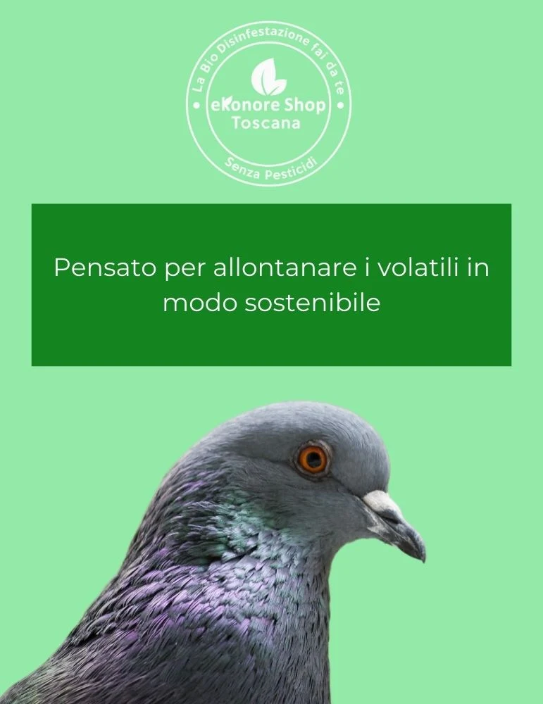Bird Free | Disabituante Piccioni in gel 1pz.