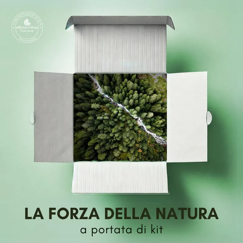 BioAnt | Kit Bio Disinfestazione Formiche