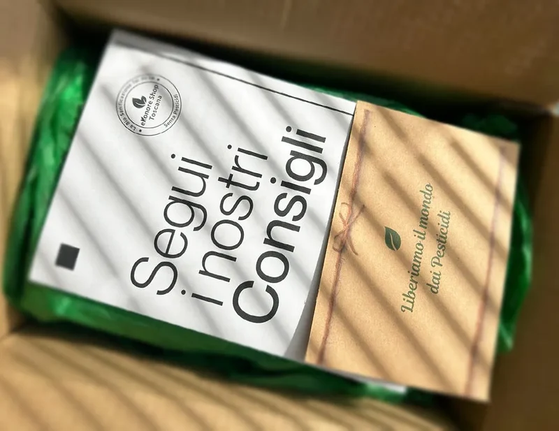Kit Disinfestazione Cimici Asiatiche | Cimex