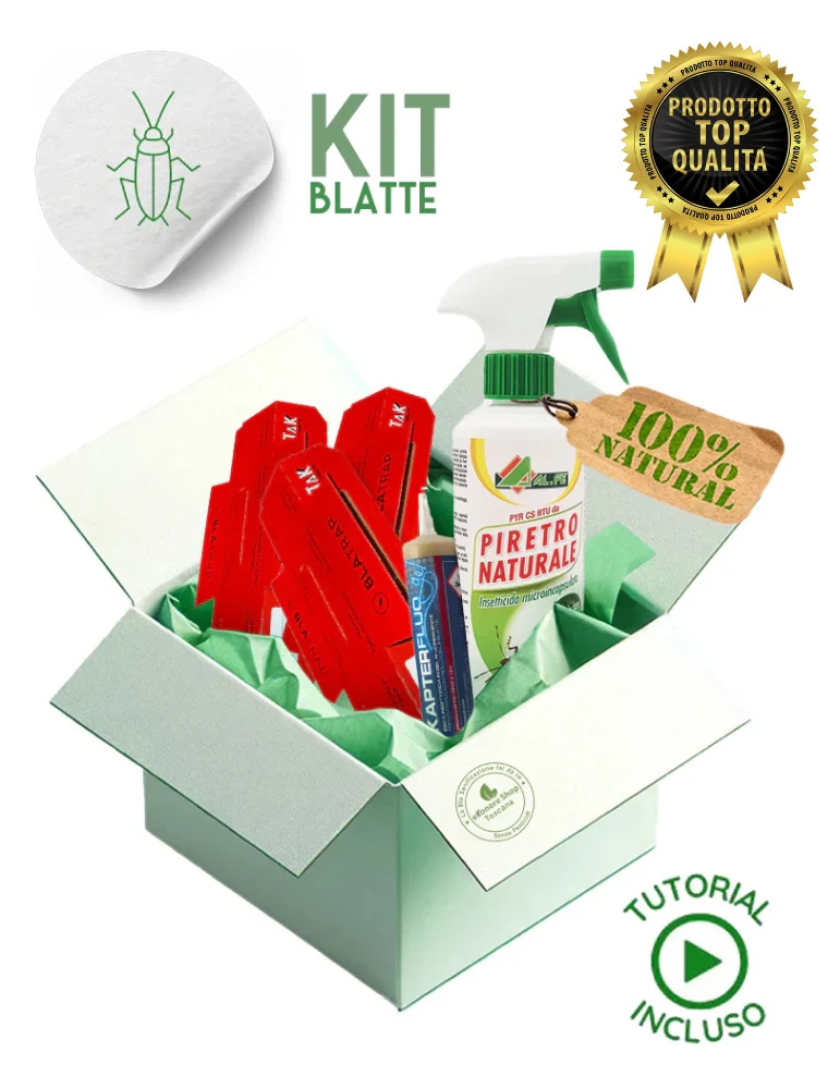 Kit Disinfestazione Blatte e Scarafaggi | BioRoach