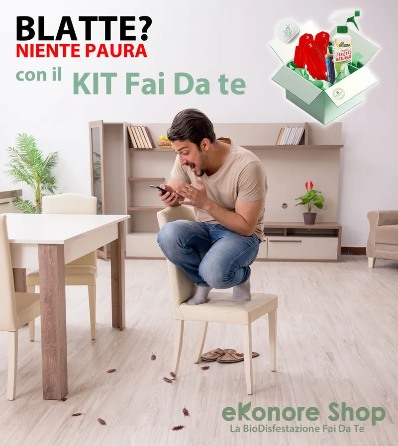 Kit Disinfestazione Blatte e Scarafaggi | BioRoach