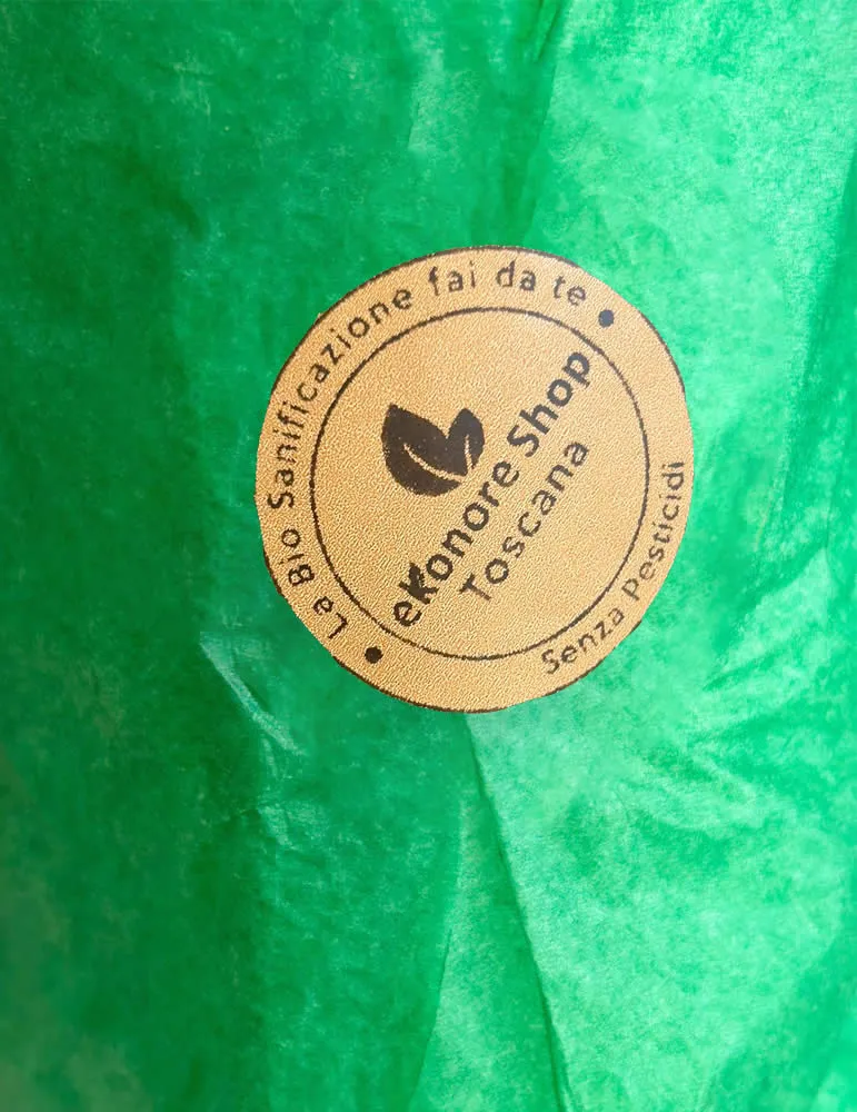 Kit Disinfestazione Blatte e Scarafaggi | BioRoach