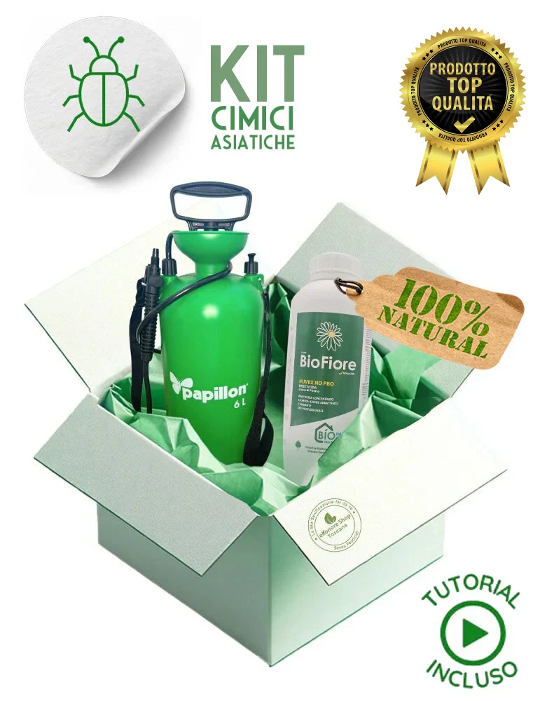 Kit Disinfestazione Cimici Asiatiche | Cimex