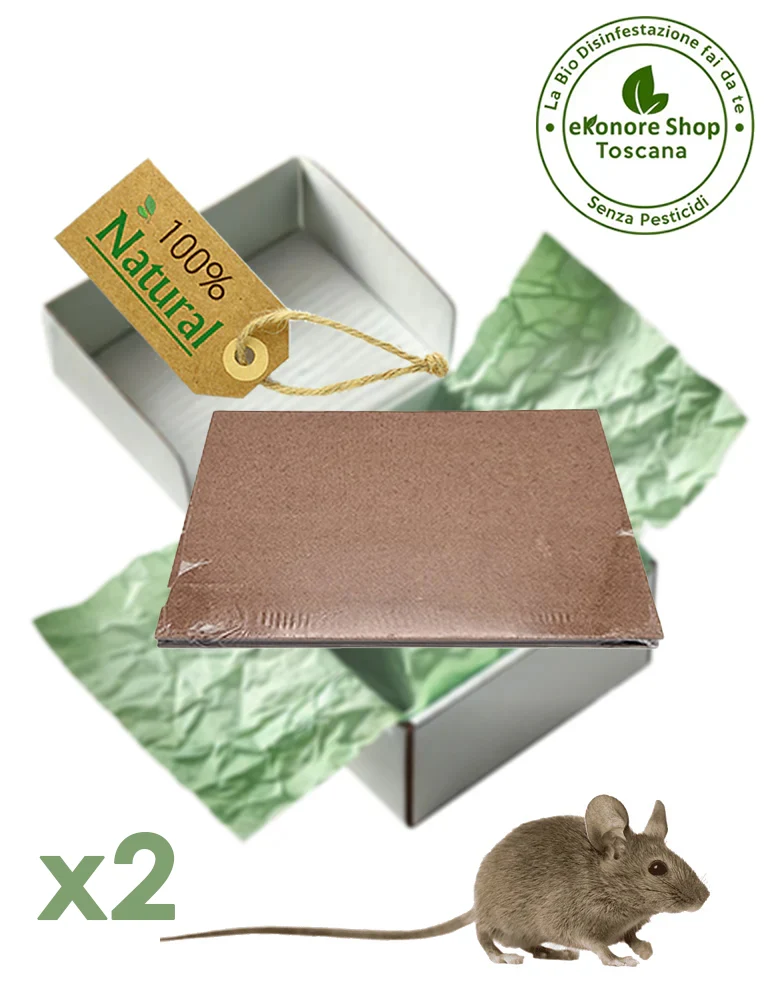 Trappole Adesive a Colla per Topi SUPER ECO TRAP