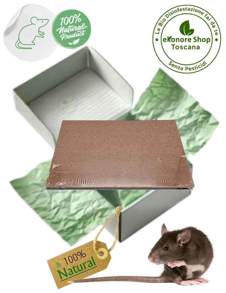 Trappole Adesive a Colla per Topi SUPER ECO TRAP