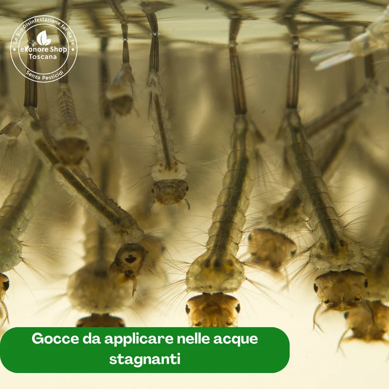 Insetticida Biologico Zanzare Bacillus Thuringiensis Lepidotteri | Mosquitorex