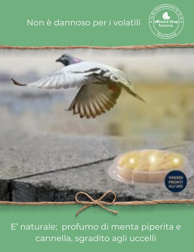 Disabituante Piccioni e Volatili | BirdFree