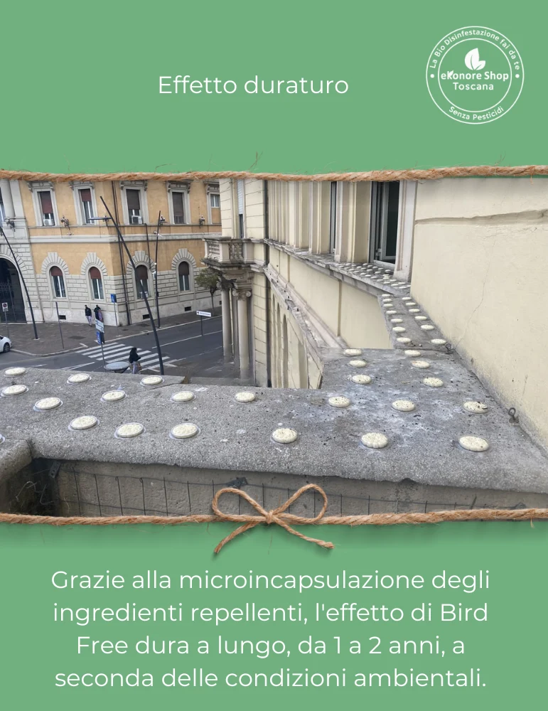 Disabituante Piccioni e Volatili | BirdFree