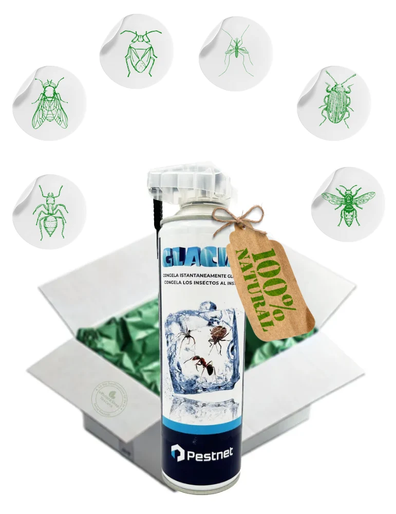 CrioPest | Spray insetticida congelante ad azione rapida