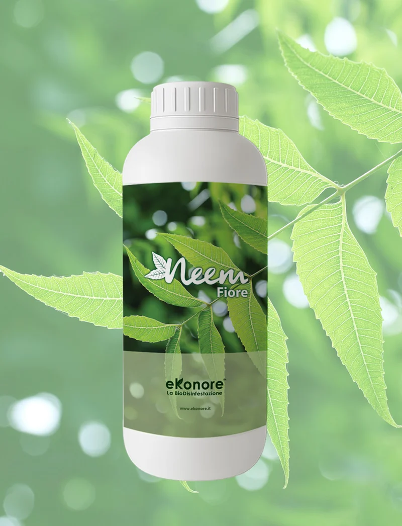 Olio di Neem Repellente Naturale 1000 ml