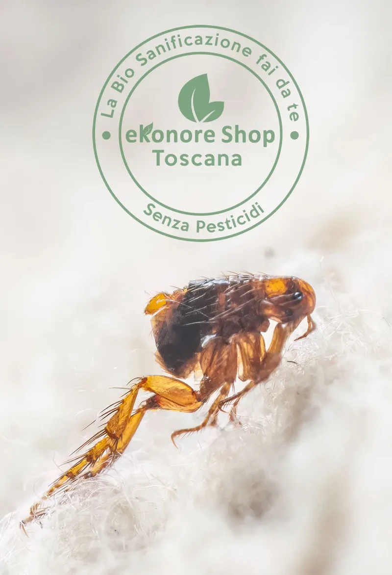 Kit Disinfestazione Pulci Fai Da Te | BioFleas