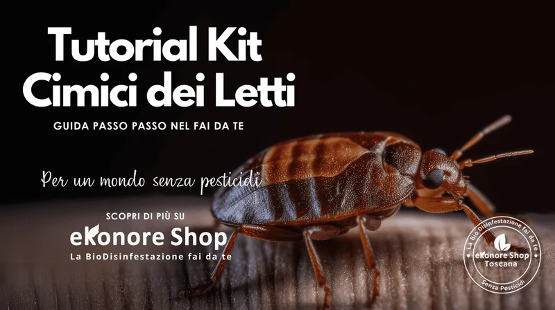 Kit Bio Disinfestazione Cimici dei letti Fai Da Te | BioCimex