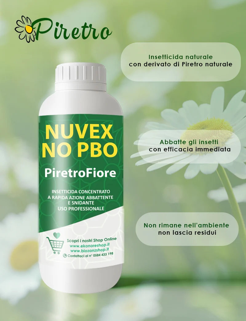 PiretroFiore Insetticida Naturale al Piretro 1000 ml