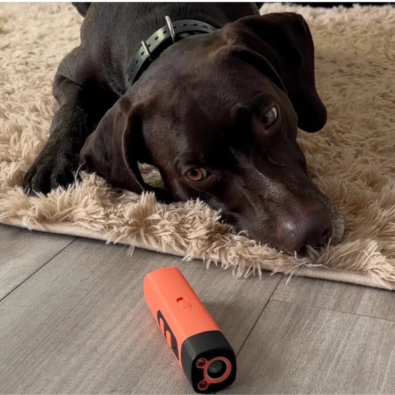 Smart Ultrasonic Tool for Calm Dog Training