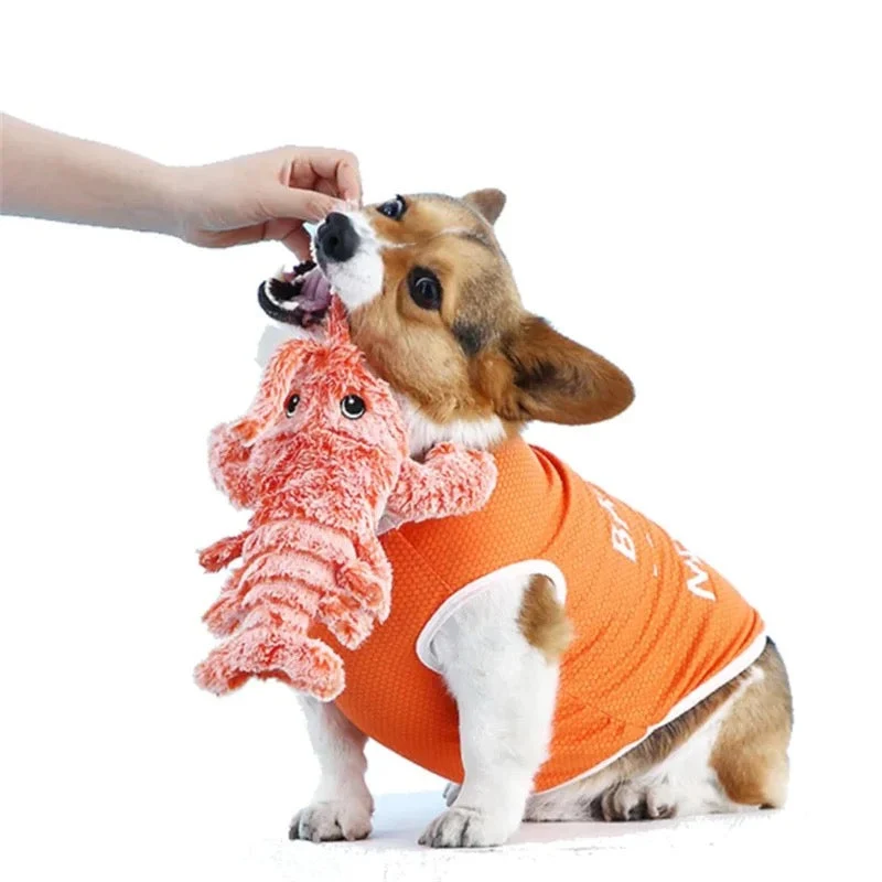 Interactive Lobster-Shaped Dog Toy
