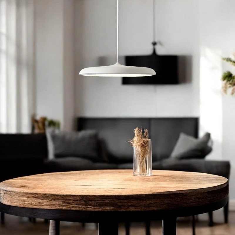 Modern Scandinavian LED pendant lamp