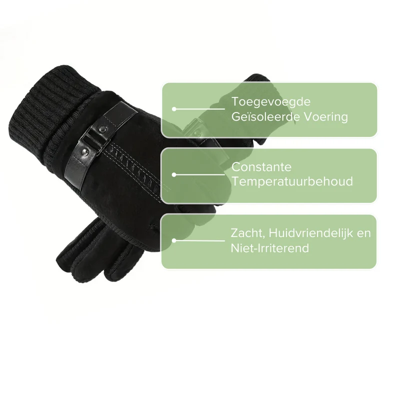 Herenhandschoenen Leer Winddicht | Warm & Touchscreen Geschikt
