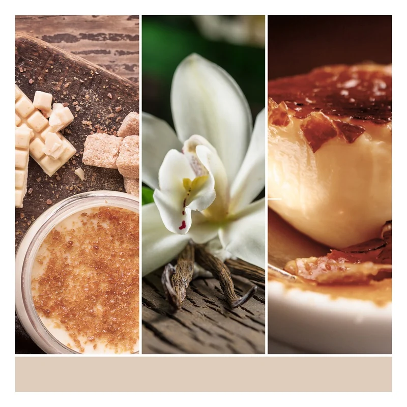 Tart Profumata Yankee Candle Vanilla Crème Brûlée